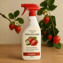 Fertilizante para Morangueiro – Spray