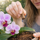 Bastonete Golden - Fertilizante Orgânico